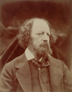  av Julia Margaret Cameron