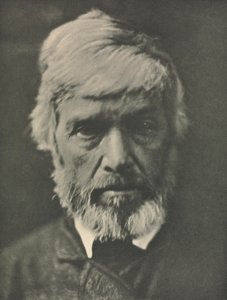 Kameraarbeid: Carlyle av Julia Margaret Cameron