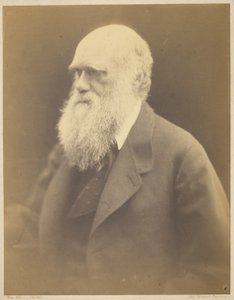 Charles Darwin av Julia Margaret Cameron