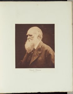  av Julia Margaret Cameron