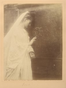  av Julia Margaret Cameron