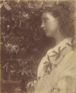 Maud Der har falt en praktfull tåre fra lidenskapsblomsten ved porten av Julia Margaret Cameron