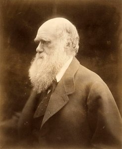 Portrett av Charles Darwin, 1868