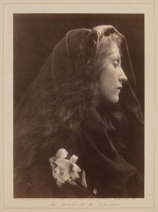  av Julia Margaret Cameron