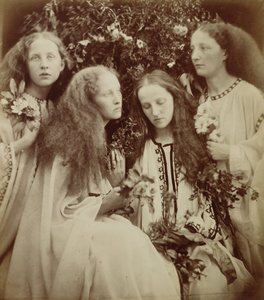 The Rose Bud Garden of Girls (albumtrykk) av Julia Margaret Cameron