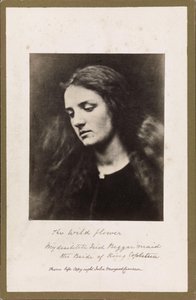  av Julia Margaret Cameron