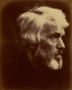  av Julia Margaret Cameron