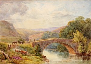 Lewisburn Bridge, North Tyne av Julia Swinburne