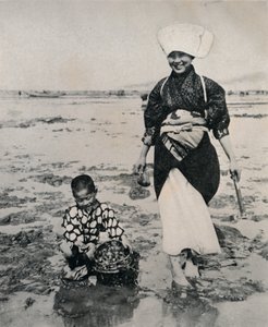 Graving av muslinger ved lavvann i Tokyobukta, ca 1900, 1921