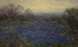Uten tittel - Field of Bluebonnets (olje på lerret)