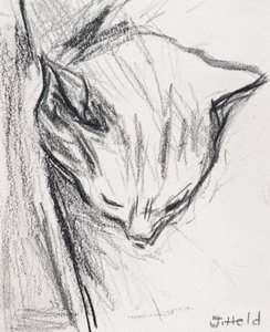 Sovende katt, 2015, (blyant) av Julie Held