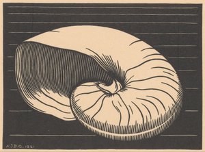 Shell av Julie de Graag (signed by artist)