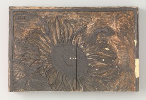 Solsikke