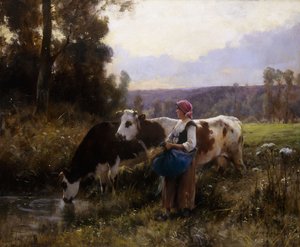Kyr ved vannhullet