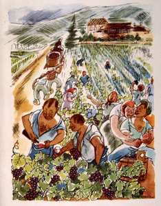 Fransk vingård. 1944. Illustrasjon av Julien Pavil