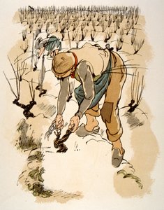 Humoristisk vinillustrasjon 1946. Illustrasjon av Julien Pavil av Julien Pavil