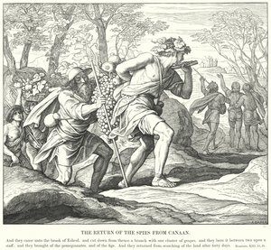 The Return of the Spies from Canaan (gravering) av Julius (after) Schnorr von Carolsfeld