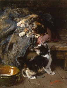Kattunger leker