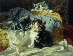 Lekne kattunger