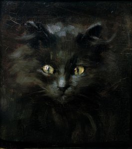 Portrett av en katt