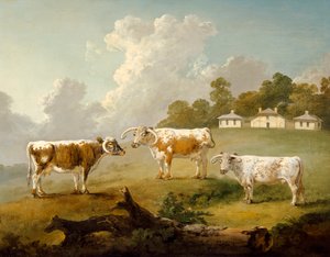 Tre langhornet storfe i landskap (olje på lerret) av Julius Caesar Ibbetson