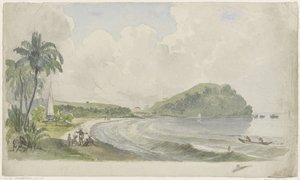Tropisk kystlandskap
