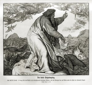 Skapelsens femte dag, 1. Mosebok av Julius Schnorr von Carolsfeld