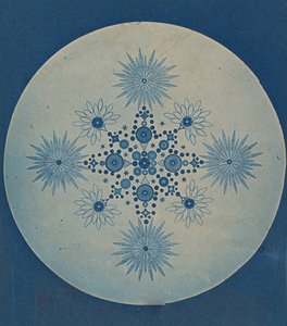 [Frustules of Diatoms], ca. 1870. av Julius Wiesner.