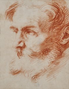 Hode av en skjeggete mann av Jusepe de Ribera