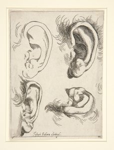 Studier av fire ører av Jusepe de Ribera