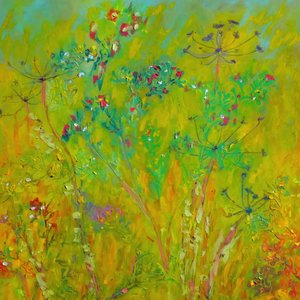 Fargerik eng med markblomster