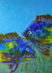 Livlige tropiske fisk