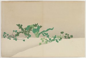 Flowers of a Hundred Worlds (Momoyogusa): Seven Herbs of Early Spring (Nanagusa) av Kamisaka Sekka