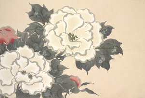 Fukami-Gusa, fra Momoyo-gusa (The World of Things) Vol I, pub.1909 (fargeblokk-tresnitt)