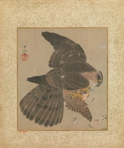 Album of Hawks and Calligraphy, 1600-1700-tallet.