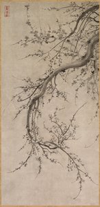 Prunus, 1600-tallet. av Kano Ein