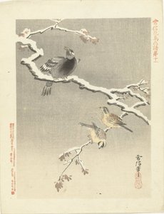 Tre fugler på snødekt gren Blomster- og fugleskisser av Kano Tsunenobu (serietittel) Kano Tsunenobu kacho gafu (serietittel på objekt)