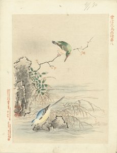 Kingfisher ser på fugl ved vann Blomster- og fugleskisser av Kano Tsunenobu (serietittel) Kano Tsunenobu kacho gafu (serietittel på objekt)
