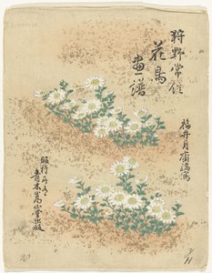 Indeks Blomster- og fugleskisser av Kano Tsunenobu (serietittel) Kano Tsunenobu kacho gafu (serietittel på objekt) av Kano Tsunenobu