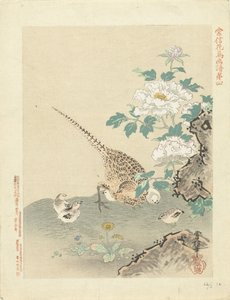 Vaktel med kyllinger Blomster- og fugleskisser av Kano Tsunenobu (serietittel) Kano Tsunenobu kacho gafu (serietittel på objekt) av Kano Tsunenobu