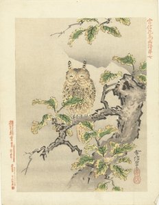 ugle på gren Blomster- og fugleskisser av Kano Tsunenobu (serietittel) Kano Tsunenobu kacho gafu (serietittel på objekt) av Kano Tsunenobu