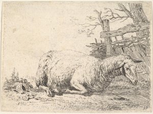 En sau som ligger med bena foldet under kroppen ved siden av et tregjerde, hun..., ca. 1655.