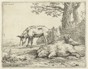 Tre villsvin ved en hekk av Karel Du Jardin