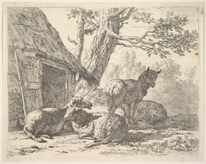 Fire sauer, en sau står blant tre andre som ligger på bakken ved siden av et skur med th..., 1658. av Karel Du Jardin