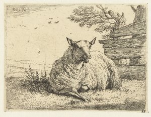 Sauer ved et gjerde av Karel Du Jardin
