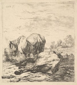De to hestene, 1600-tallet. av Karel Du Jardin