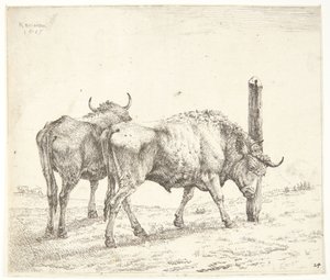 De to oksene av Karel Du Jardin