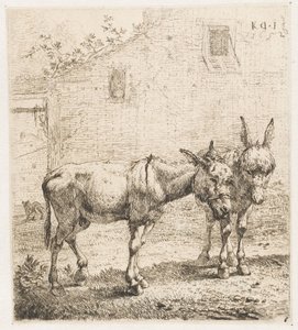 To esler Dyr (serietittel)