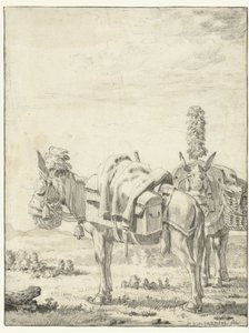 To muldyr av Karel Du Jardin