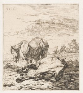To hester Dyr (serietittel) av Karel Du Jardin